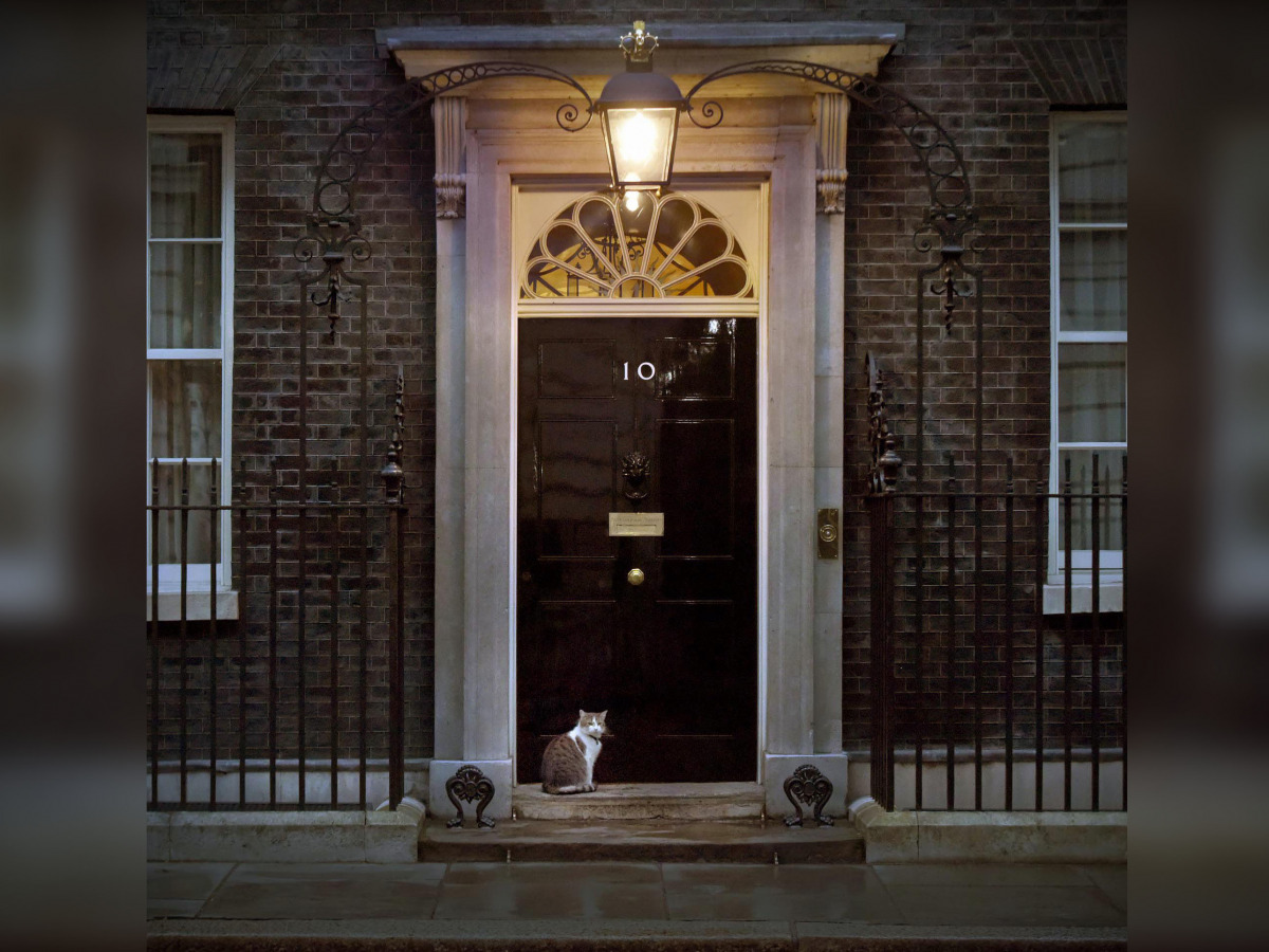 Pic: Twitter/Larry the Cat