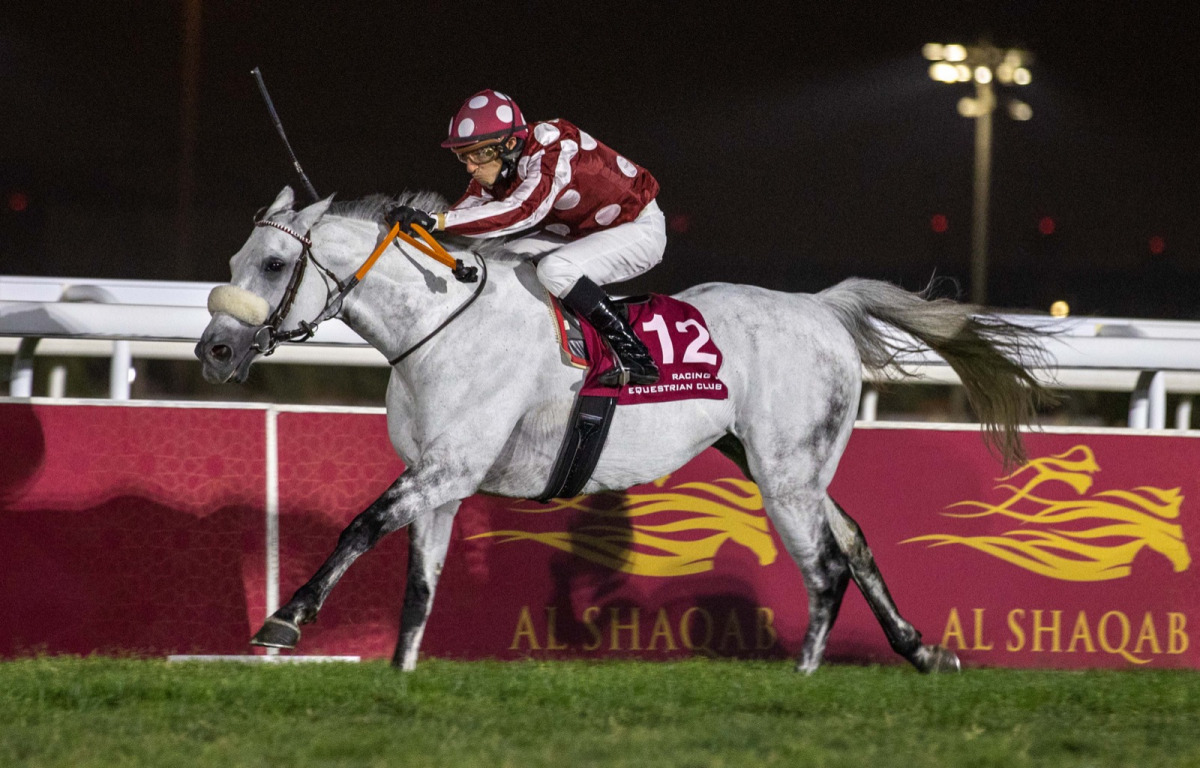 Ronan Thomas guides Tayf past the finish line in the feature of the day at Qatar Racing and Equestrian Club’s Al Rayyan Race Park. Tayf won Gr 1 P/A Qatar Gold Sword .