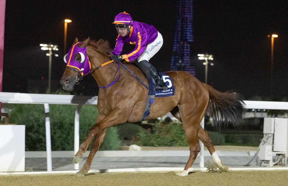 JP Guillambert, the Mohamed Khaled Elahmed-trained Dhergham Bu Thaila to victory in Al Dibal Cup.