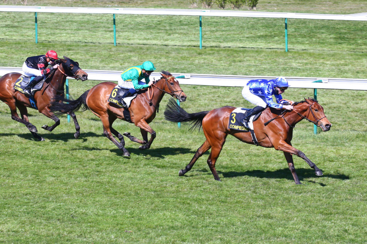 Jockey Charles Boudot guides H H Sheikh Mohammed bin Khalifa Al Thani-owned Coefficiente to win the Prix De La Croix Saint-Ouen at the Compiegne Raceourse in France.