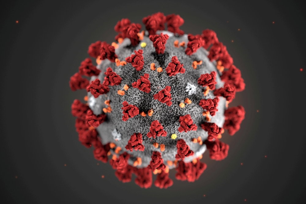 The ultrastructural morphology exhibited by the 2019 Novel Coronavirus (2019-nCoV), which was identified as the cause of an outbreak of respiratory illness first detected in Wuhan, China, is seen in an illustration released by the Centers for Disease Cont