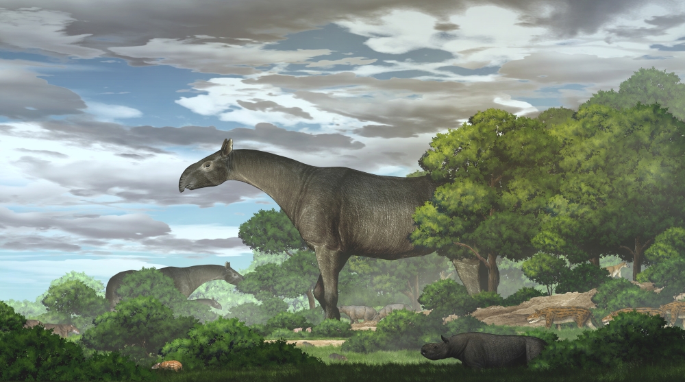 Paraceratherium linxiaense giant rhinos in the Linxia Basin during the Oligocene are seen in this handout rendering provided by the Institute of Vertebrate Paleontology and Paleoanthropology (IVPP) of the Chinese Academy of Sciences June 18, 2021. Chen Yu