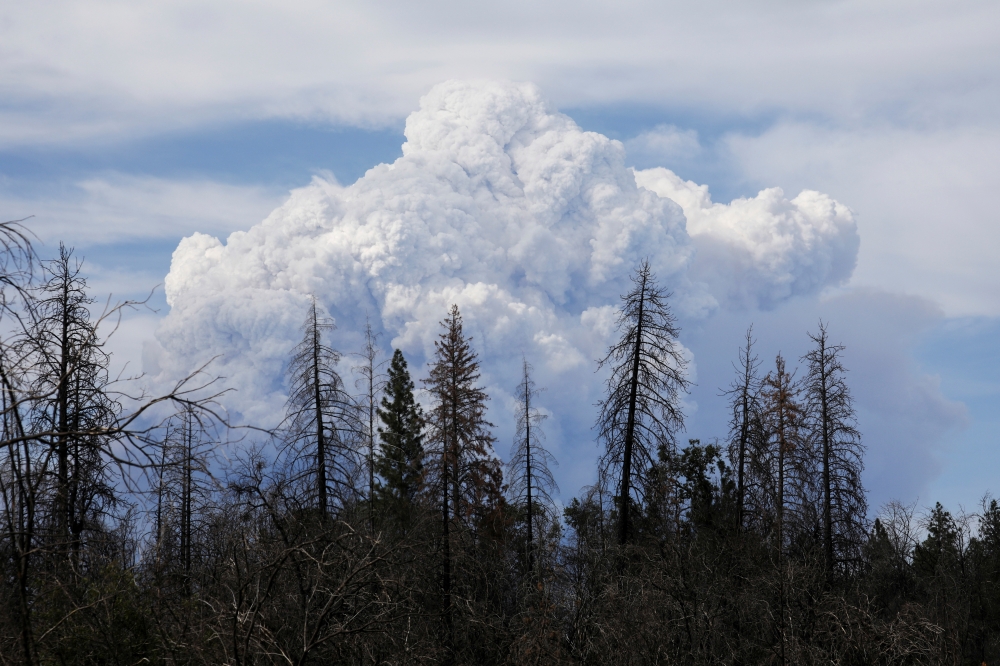 Smoke clouds rise as the Dixie Fire grows to over 18,000 acres in Plumas National Forest, California, U.S., July 18, 2021. REUTERS/David Swanson