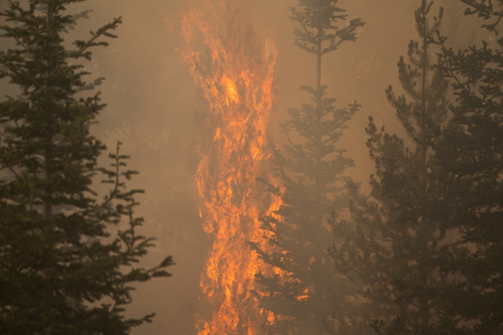 The Bootleg Fire burns through vegetation near Paisley, Oregon, U.S., July 20, 2021. REUTERS/David Ryder