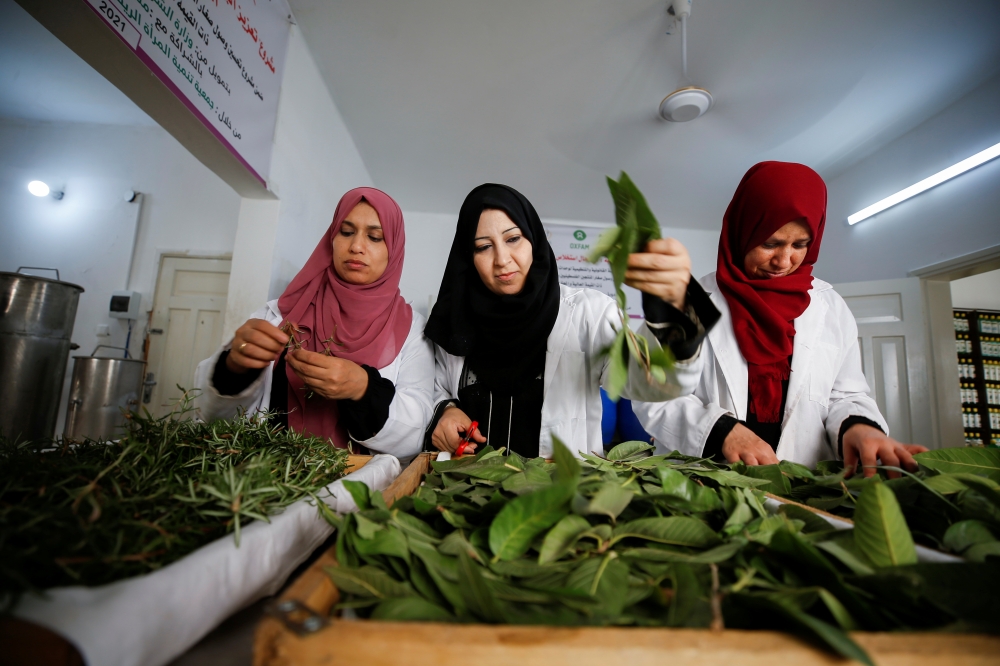 Palestinian women collect tree leaves in Gaza City July 28, 2021. Reuters/Mohammed Salem