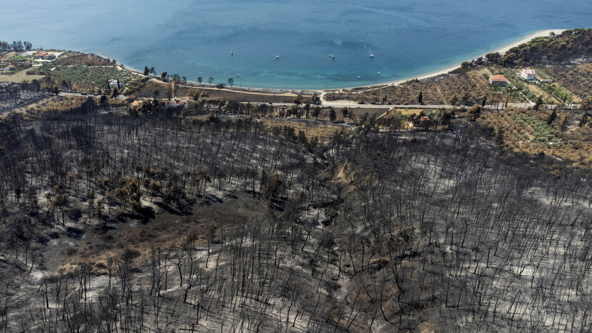 A charred forest area is seen next to the beach of the village of Rovies following a wildfire on the island of Evia, Greece, August 12, 2021. Picture taken with a drone. REUTERS/Alkis Konstantinidis
