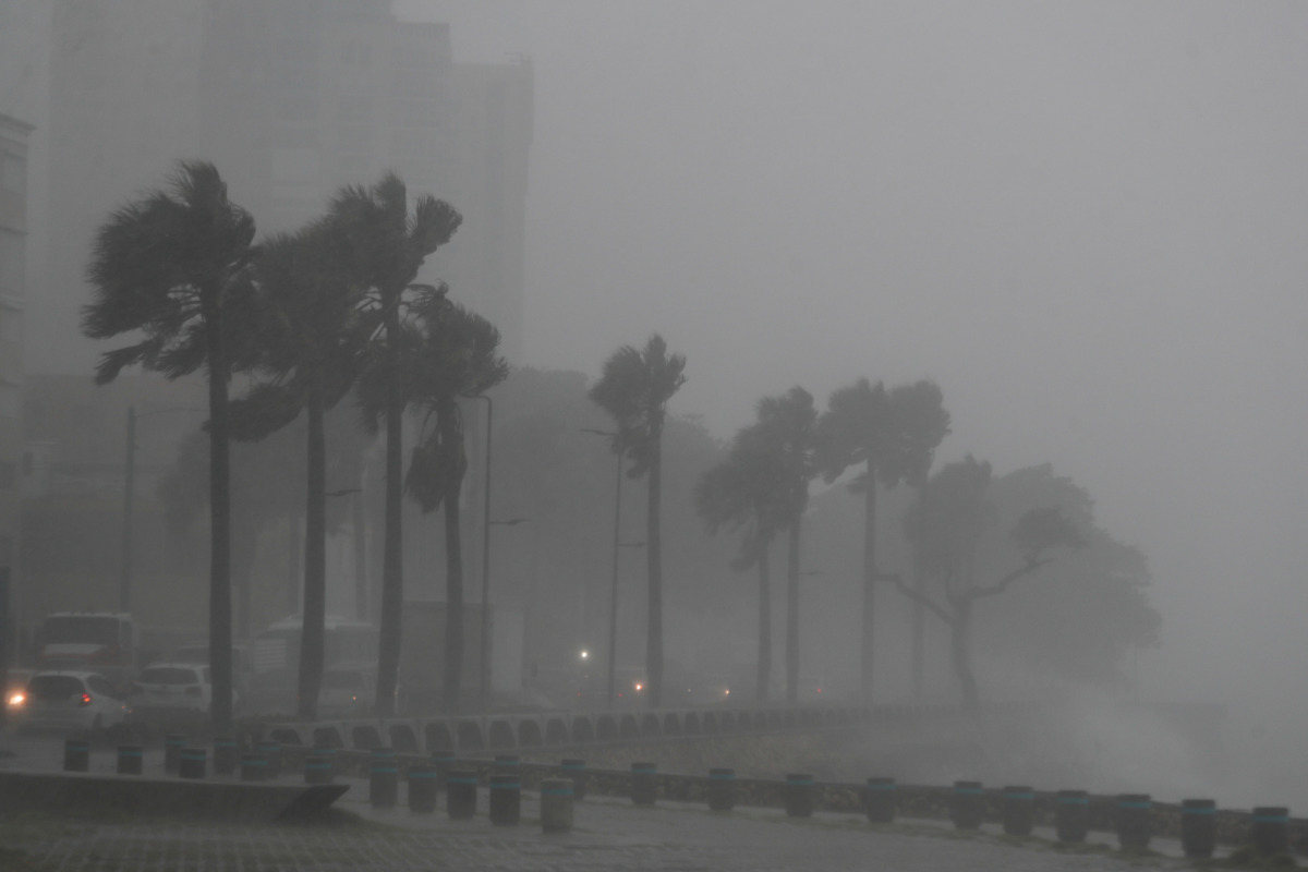 Palm trees sway in the wind and rain during the passage of Tropical Storm Fred in Santo Domingo, Dominican Republic August 11, 2021. REUTERS/Ricardo Rojas
