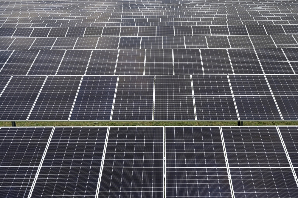 Solar panels are pictured in a solar park in Lottorf, Germany July 30, 2021. REUTERS/Fabian Bimmer/File Photo