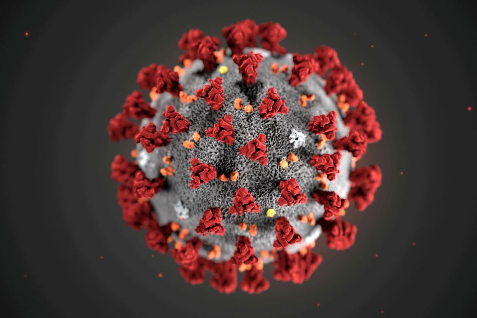 The ultrastructural morphology exhibited by the 2019 Novel Coronavirus (2019-nCoV), which was identified as the cause of an outbreak of respiratory illness first detected in Wuhan, China, is seen in an illustration released by the Centers for Disease Cont
