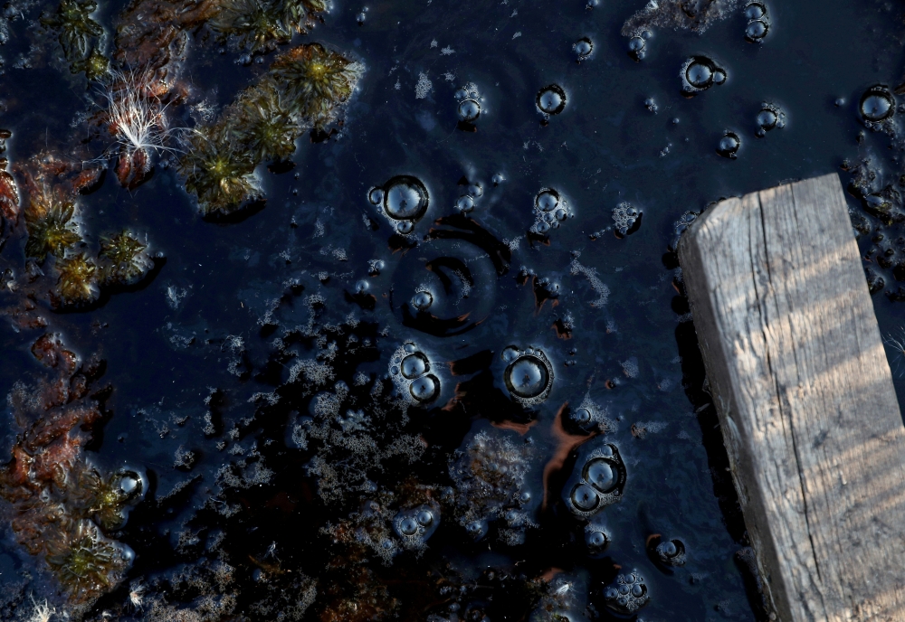 Methane bubbles are seen in an area of marshland at a research post at Stordalen Mire near Abisko, Sweden, on August 1, 2019. Reuters/Hannah McKay/File Photo