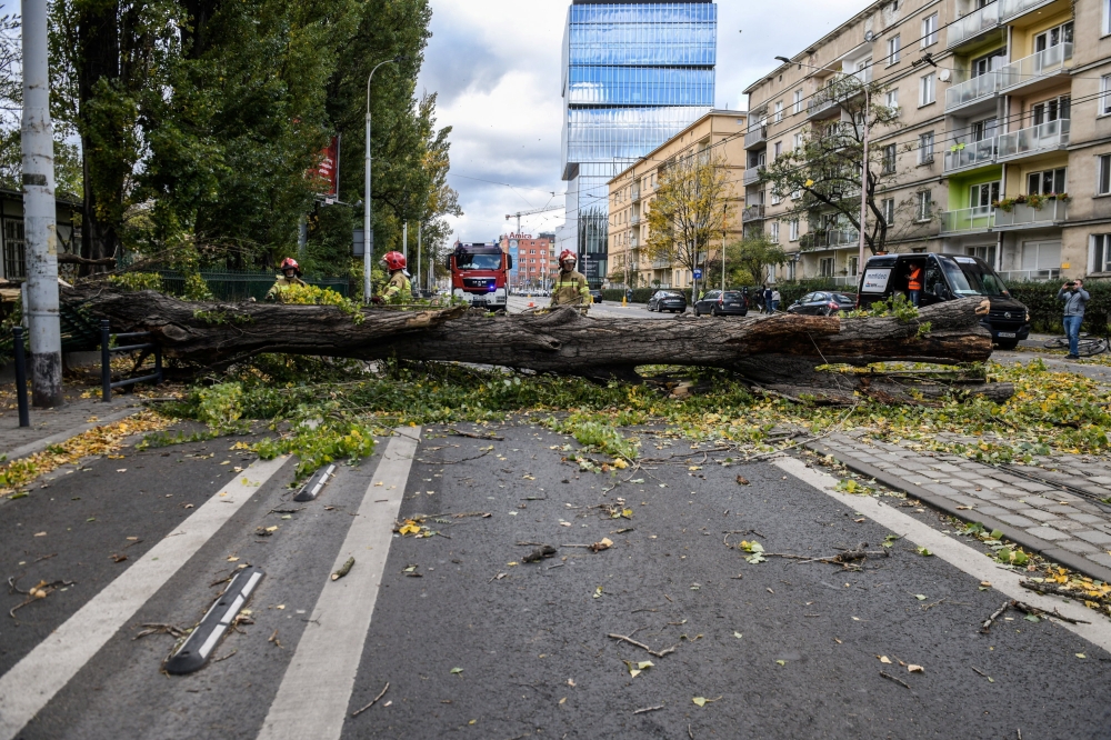 Firefighters remove a fallen tree after very strong winds in Wroclaw, Poland October 21, 2021. Tomasz Pietrzyk/Agencja Gazeta via REUTERS