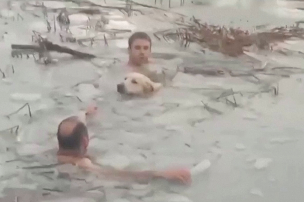 Spanish police rescue a dog from a frozen reservoir in the municipality of Canfranc in Spain, in this still image taken from a handout video obtained by Reuters on December 8, 2021. Spanish Police/Handout via REUTERS