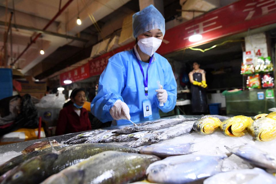 A staff member of Nanming district's Center for Disease Control and Prevention collects a swab from frozen fish for nucleic acid testing following the coronavirus disease (COVID-19) outbreak, at Wandong market in Guiyang, Guizhou province, China July 1, 2020. Picture taken July 1, 2020. cnsphoto via REUTERS
