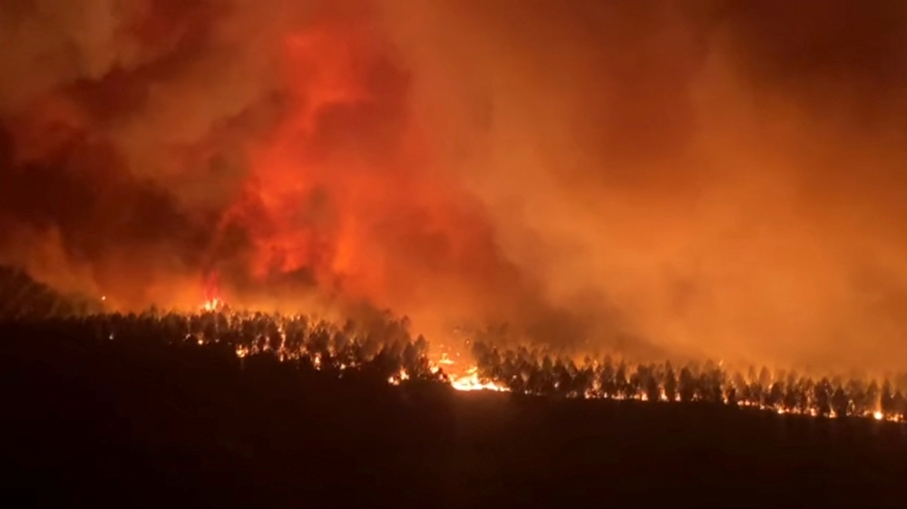 Flames engulf trees during a fire in Hostens, as wildfires continue to spread in the Gironde region of southwestern France, in this screen grab taken from a handout video August 9, 2022