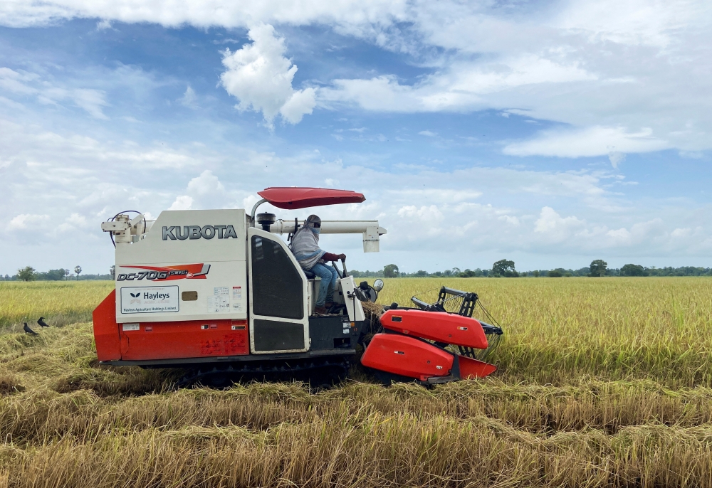 A farm worker drives a harvester through paddy fields, amid the country's worst economic crisis, in Kilinochchi district, Sri Lanka July 28, 2022. REUTERS/ Devjyot Ghoshal