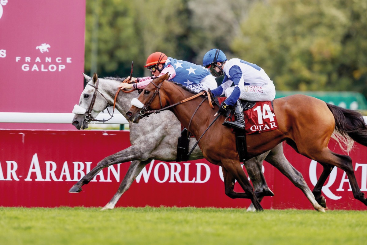 Hoggar de l’Ardus on way to the Qatar Arabian World Cup 2021 title in this file photo. 