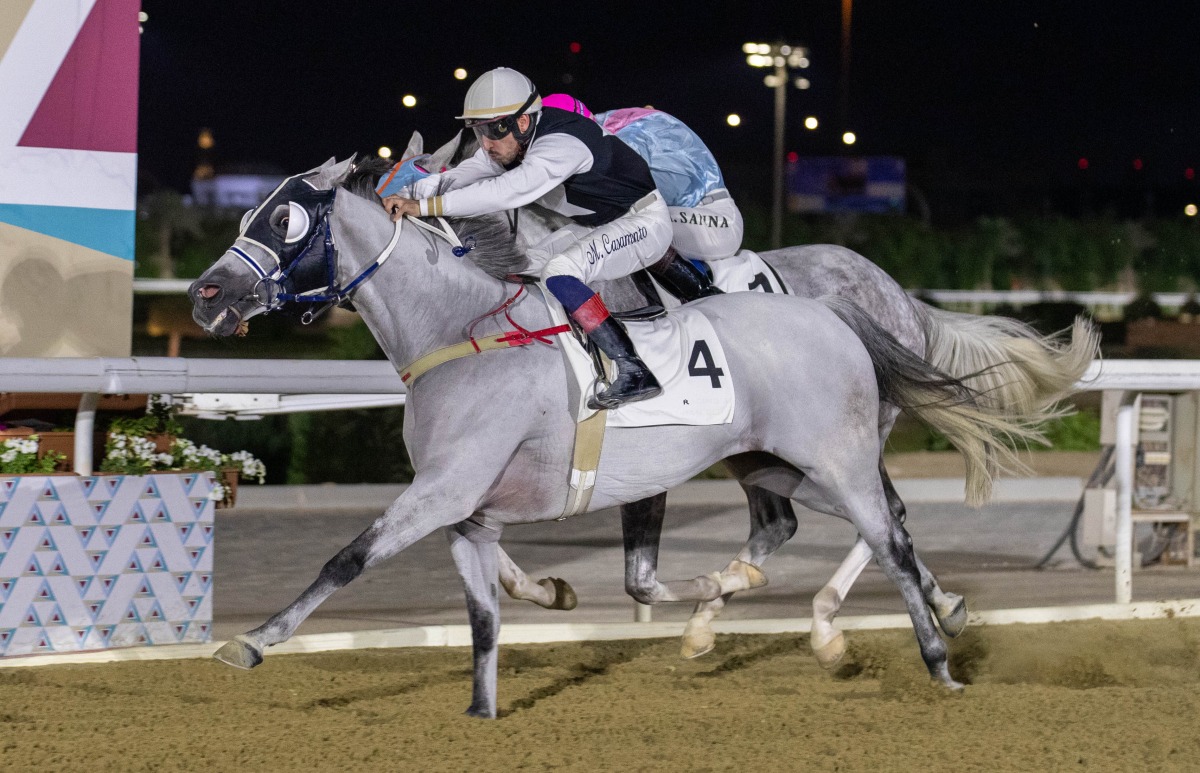 AJS Al Aredh is ridden to victory by Marco Casamento. 