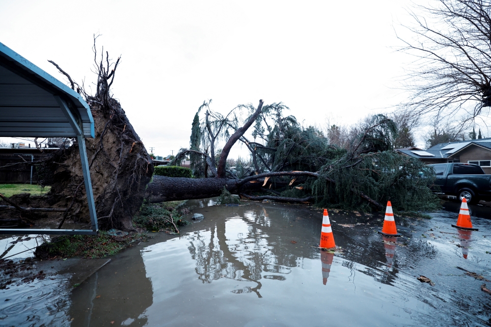 A tree blocks a roadway after it fell in high winds during a winter storm in West Sacramento, California, U.S. January 8, 2023. REUTERS/Fred Greaves/File Photo