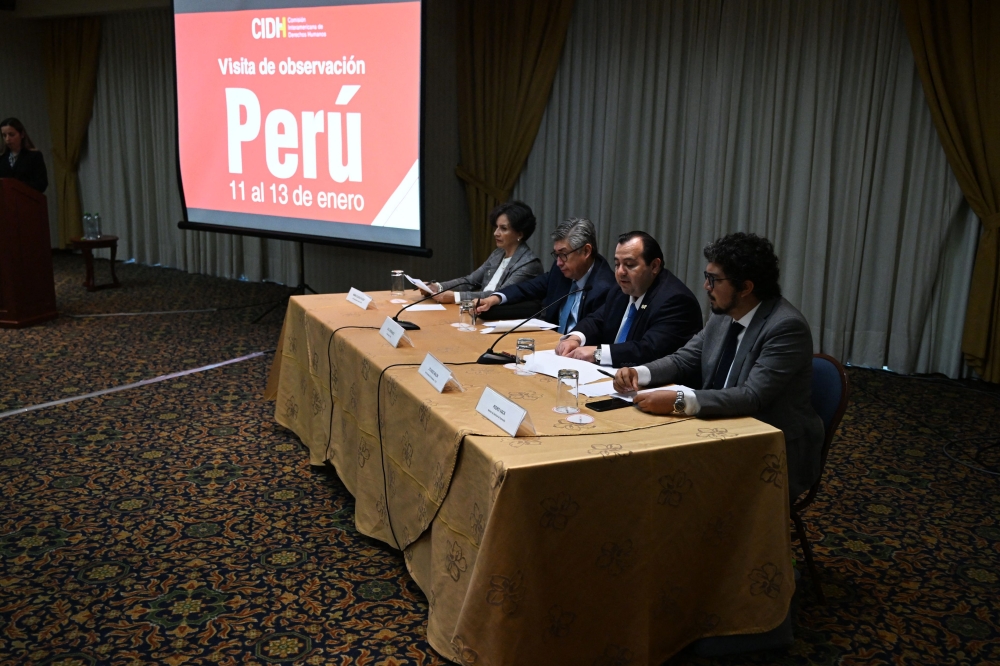 Vice-President of the Inter-American Commission on Human Rights (IACHR), Stuardo Ralon (second right), speaks during a press conference about violence on past demonstrations in Lima on January 13, 2023.  (Photo by ERNESTO BENAVIDES / AFP)