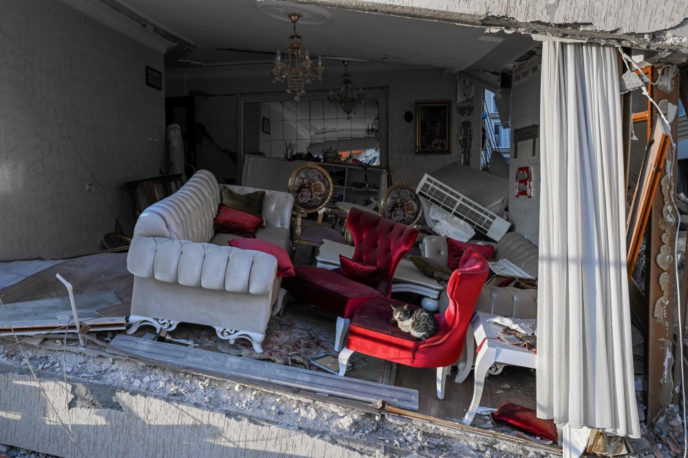 TOPSHOT - A cat sits on an armchair in a heavily damaged living room of a collapsed building in Hatay on February 15, 2023, nine days after a 7,8-magnitude earthquake struck parts of Turkey and Syria. (Photo by BULENT KILIC / AFP)

