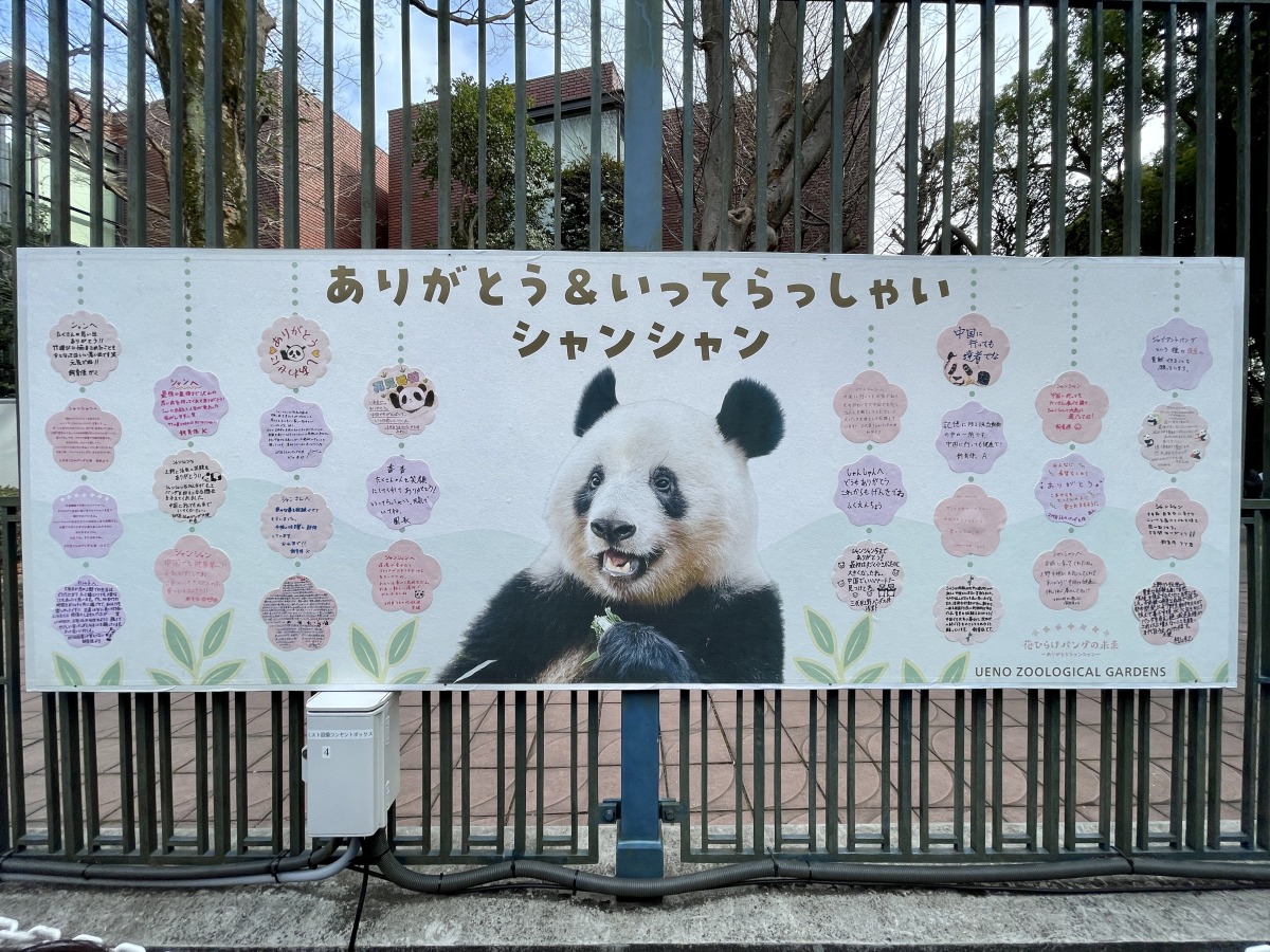 Twitter / panda_xiang_xiang