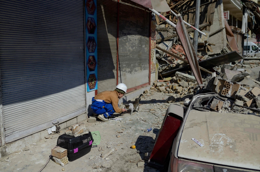 A volunteer for the local NGO Haytap tries to lure a cat into a cage in Antakya, south of Turkey, where many animals are trapped in the rubbles after the February 6th earthquake, on February 18, 2023. (Photo by Yasin Akgul / AFP)