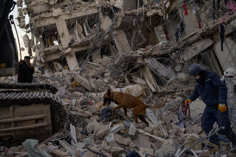 Members of the Uzbek search and rescue team use a dog as they look for a body under the rubble of a collapsed building in Hatay along the Mediterranean coast, southern Turkey on February 19, 2023. (Photo by Yasin Akgul / AFP)