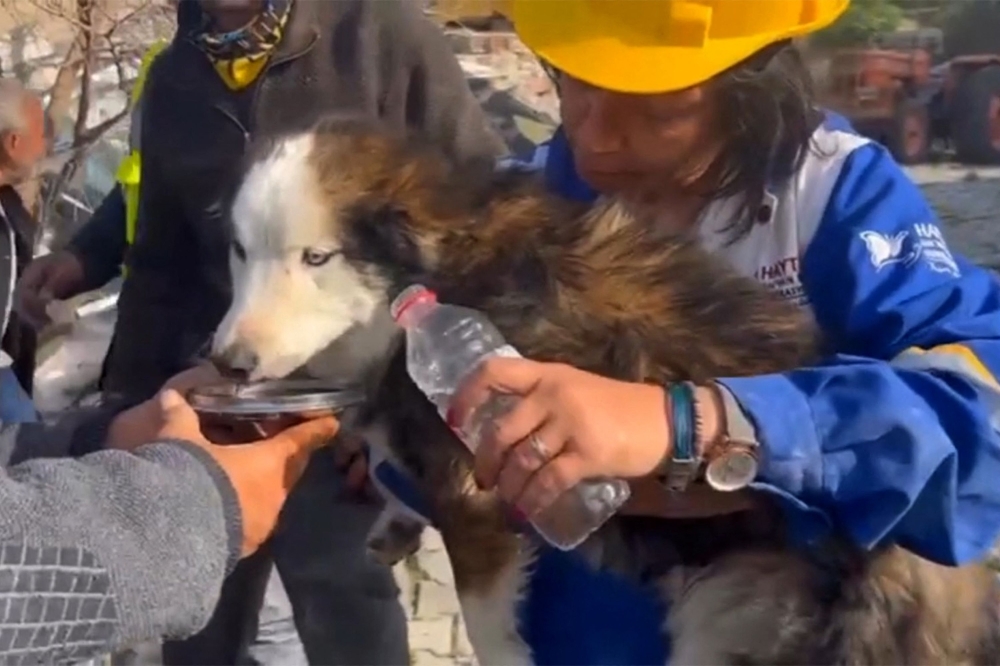 This handout photograph taken and released by Turkish agency DHA (Demiroren News Agency) on March 1, 2023 shows rescues feed a dog with water from a collapsed building 23 days after last month's 7.8-magnitude deadly earthquake. Photo by DEMIROREN NEWS AAGENCY / DHA (Demiroren News Agency) / AFP