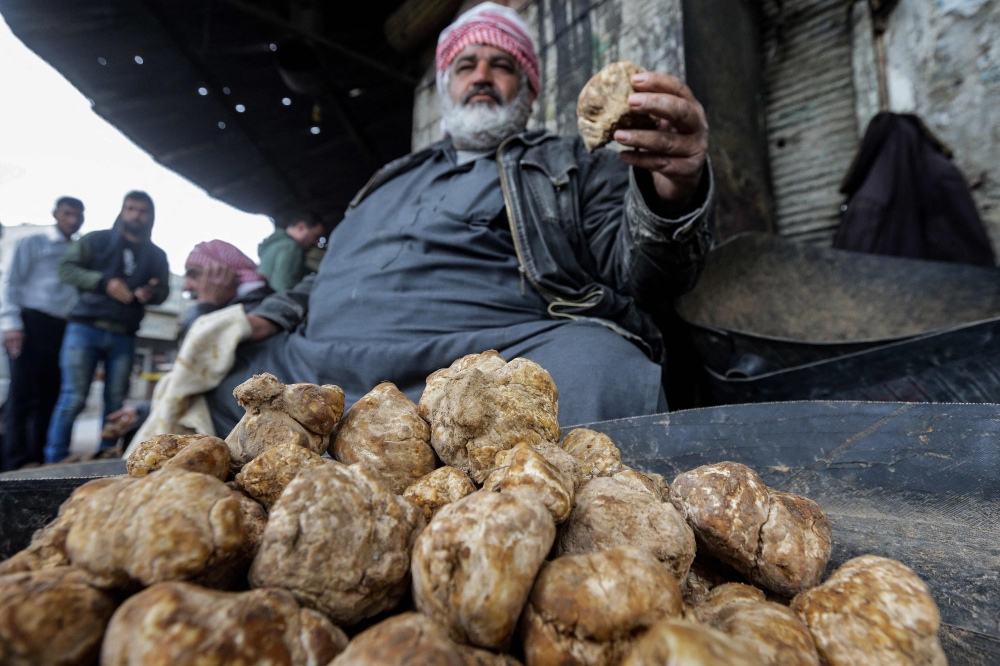 In this file photo a merchant presents a desert truffles at a market in the city of Hama in west-central Syria on March 6, 2023. (Photo by Louai Beshara / AFP)