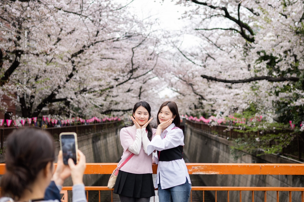 People have their photographs taken under cherry blossoms in Tokyo on March 31, 2023. (Photo by Yuichi Yamazaki / AFP)