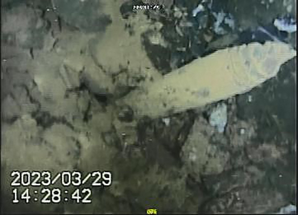 This March 29, 2023 handout image provided by the International Research Institute for Nuclear Decommissioning (IRID) and received from Tokyo Electric Power Company (TEPCO) on April 5, 2023 shows an image taken underwater by a robot of a rod-shaped structure at the bottom of the pedestal, a structure supporting TEPCO's reactor no. 1 at the stricken Fukushima Daiichi nuclear power plant in the town of Okuma, Fukushima prefecture. Photo by Handout / Tokyo Electric Power Company (TEPCO) / AFP