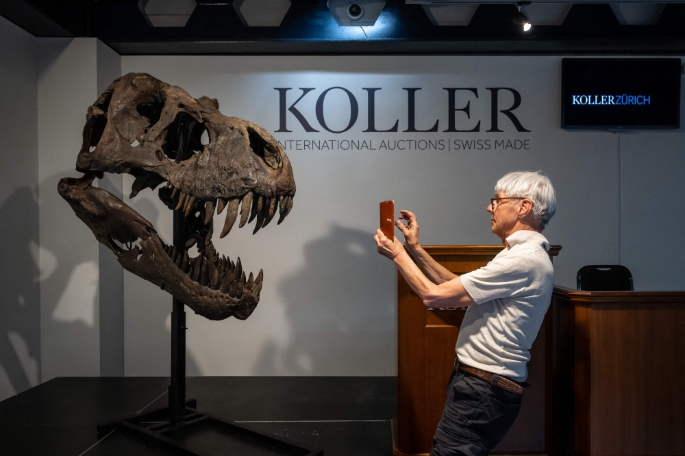 A man takes a picture of the skull of 'Trinity' prior to the sale of the skeleton of the Tyrannosaurus-Rex (T-Rex) by Koller auction house in Zurich, on April 18, 2023. Photo by Fabrice COFFRINI / AFP