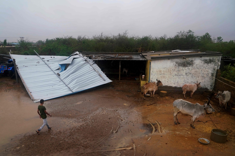 A man inspects tin roofing damaged by strong winds at Moti-Bhadai village some 20 Km from the coastal town of Mandvi in Kutch district on June 16, 2023, after Cyclone Biparjoy made landfall. Photo by AFP