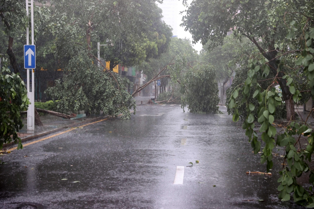 Fallen trees are seen after Typhoon Doksuri landfall in Xiamen, in China's eastern Fujian province on July 28, 2023. Photo by AFP/ China OUT