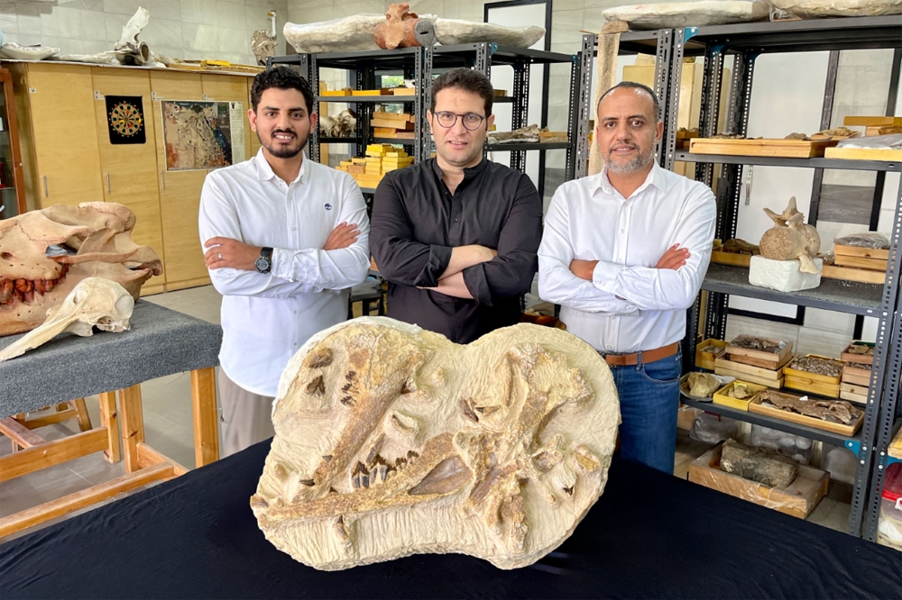 This handout picture provided by the American University in Cairo (AUC) on August 10, 2023 shows Egyptian paleontologist Hesham Sallam (R), professor of vertebrate paleontology at the American University in Cairo (AUC) and founder of Mansoura University Vertebrate Paleontology Center (MUVP), along with Egyptian paleontologists Abdullah Gohar (L) and Mohamed Sameh (C) standing before holotype fossils of their discovery of a new species of extinct basilosaurid whale, Tutcetus rayanensis, that inhabited the ancient sea covering present-day Egypt around 41 million years ago, at Mansoura University Vertebrate Paleontology Centre. (Photo by American University in Cairo (AUC) / AFP)
