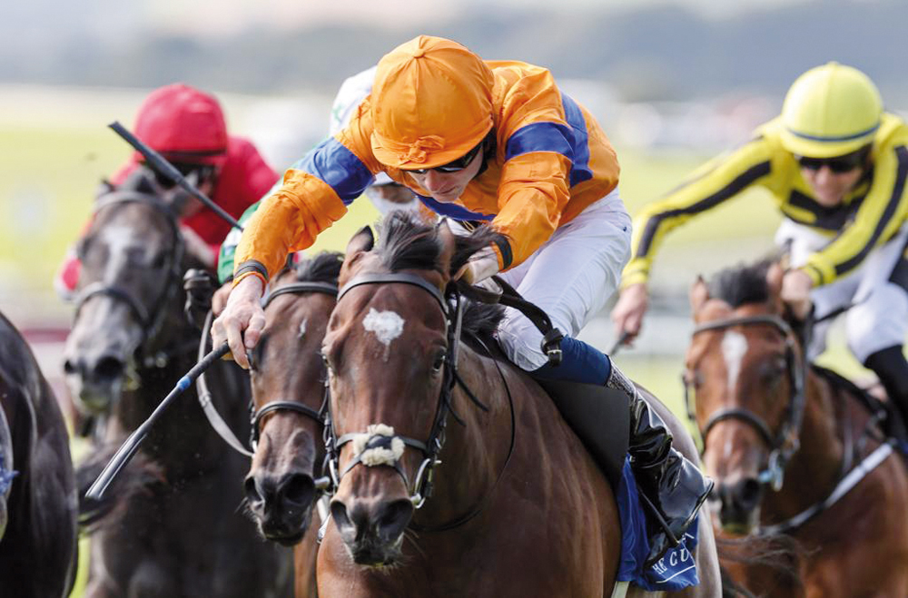 Gavin Ryan guided Asean (IRE) to victory in the QREC-sponsored Qatar Racing and Equestrian Club Irish EBF Curragh Stakes (Listed Race) at the Curragh, Ireland.