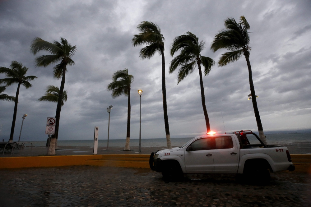 Palm trees withstand the wind in Puerto Vallarta, Jalisco State, Mexico, on October 10, 2023, as Hurricane Lidia came ashore near this popular beach resort in the Mexican Pacific coast. Photo by Ulises RUIZ / AFP