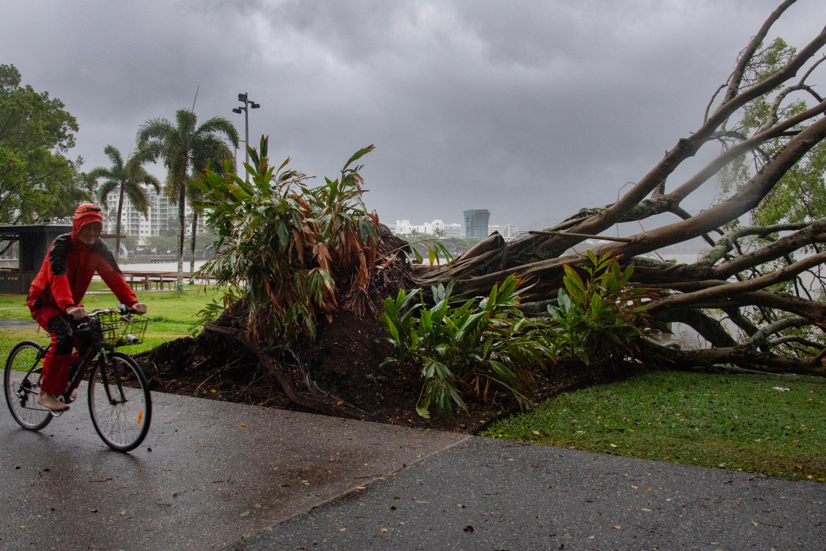 A man cycles past a downed tree as inclement weather from Cyclone Jasper impacts Cairns in far north Queensland on December 13, 2023. Photo by Brian CASSEY / AFP