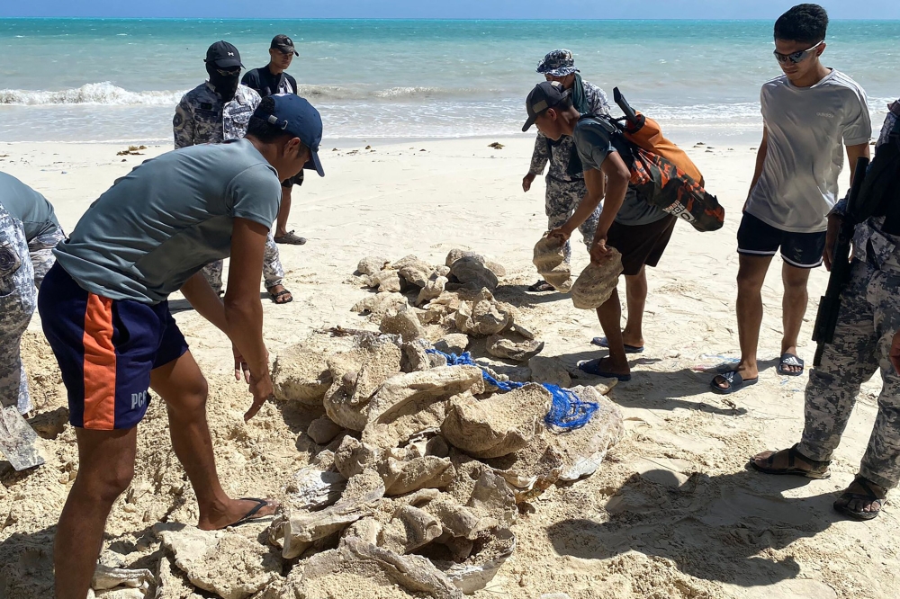 This handout photo taken on February 14, 2024 and released on February 19 by the Philippine Coast Guard (PCG) shows coast guard personnel gathering seized giant clam shells on a beach at a village in Bugsuk island, Palawan province. Photo by Handout / Philippine Coast Guard (PCG) / AFP