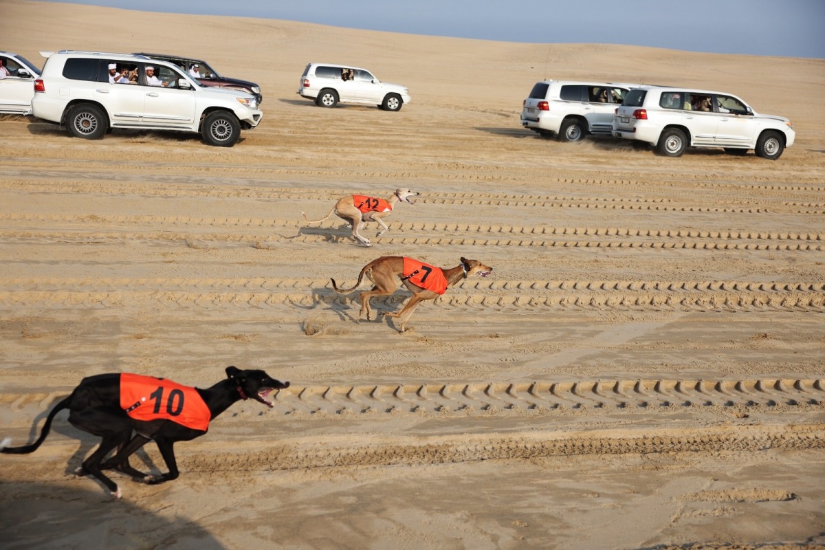 A view of the racing at Sabkhat Marmi in the Sealine Area, yesterday.
