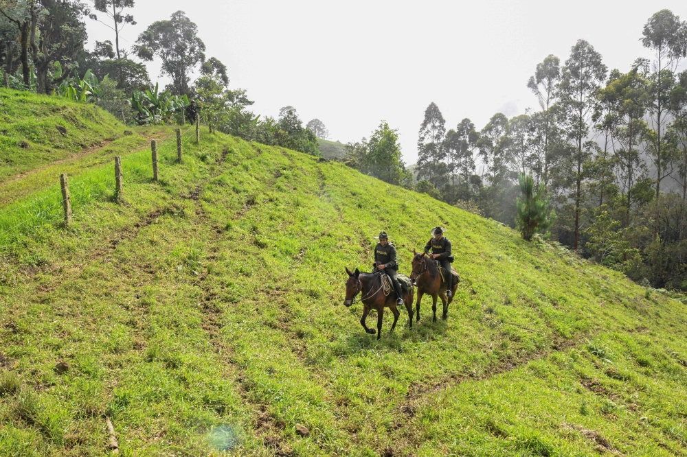 Colombian mounted policemen patrol the Farallones de Cali National Natural Park in the outskirts of Cali, on July 6, 2024, during security operations ahead of the upcomig COP16 Summit. (Photo by JOAQUIN SARMIENTO / AFP)
