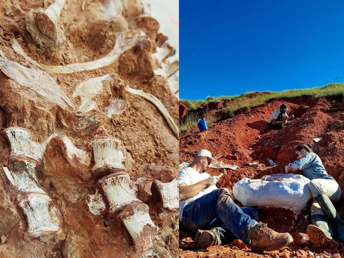 Undated handout picture released by the Federal University of Santa Maria (UFSM) on July 18, 2024, showing part of a dinosaur fossil (left) and paleontologists working on a excavation site where a dinosaur fossil was discovered in Sao Joao do Polesine, Rio Grande do Sul, Brazil. (Photo by Handout / Federal University of Santa Maria / AFP) 