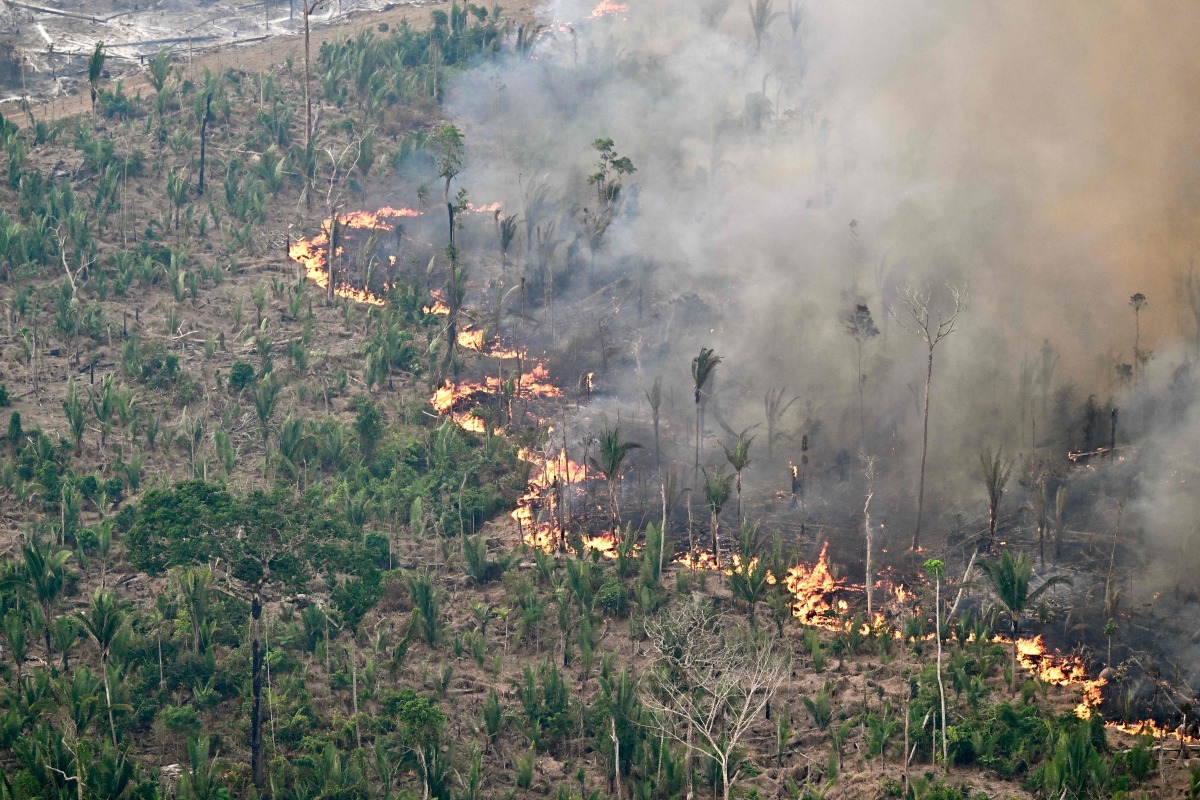 Aerial view of an area of Amazon rainforest deforested by illegal fire in the municipality of Labrea, Amazonas State, Brazil on August 20, 2024. (Photo by EVARISTO SA / AFP)