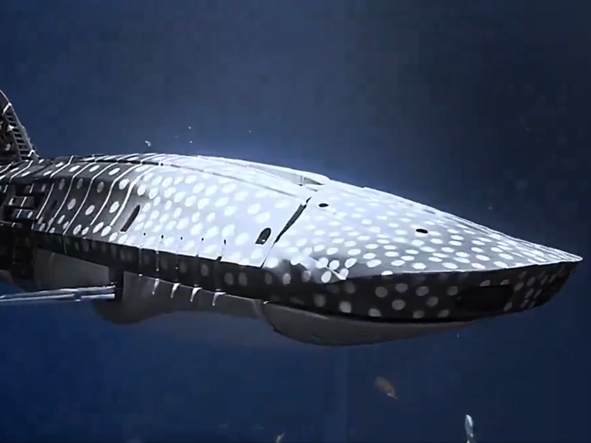 Screen grab of a video being shared on social media