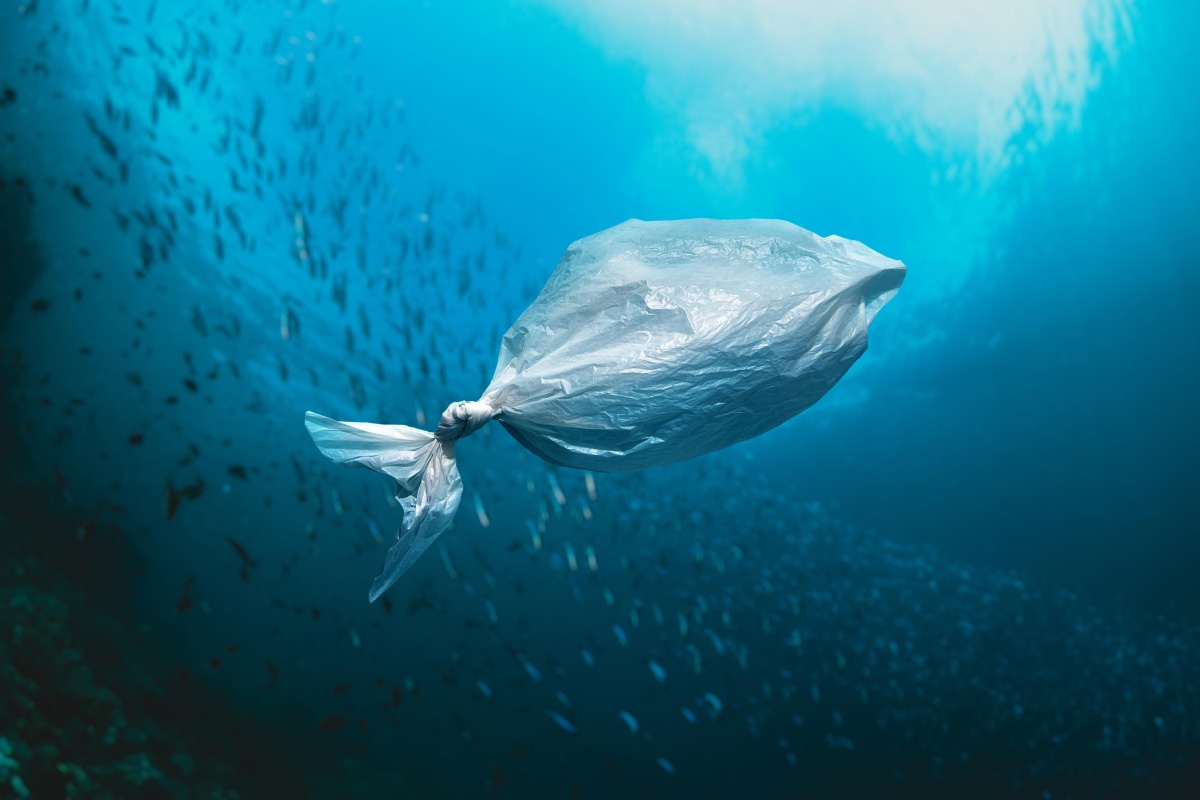 Stock image from Freepik used for representational purposes
