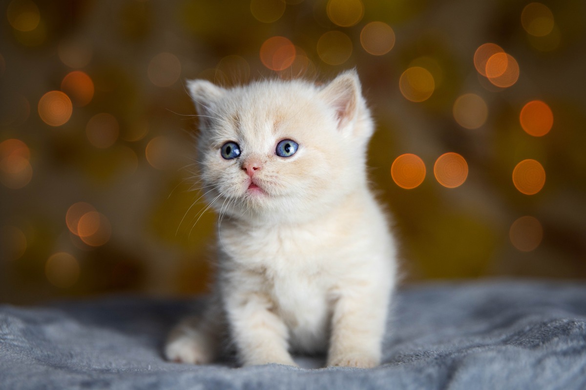 Photo for representational purposes only. Source: freepik 