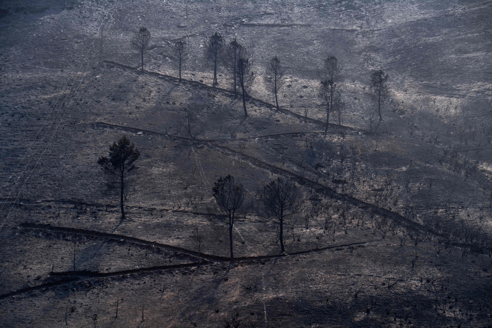 Picture shows a burnt area after a wildfire in the northwestern Spanish village of San Vicente de Leira in Ourense province, on August 19, 2025. (Photo by Miguel Riopa / AFP)
 