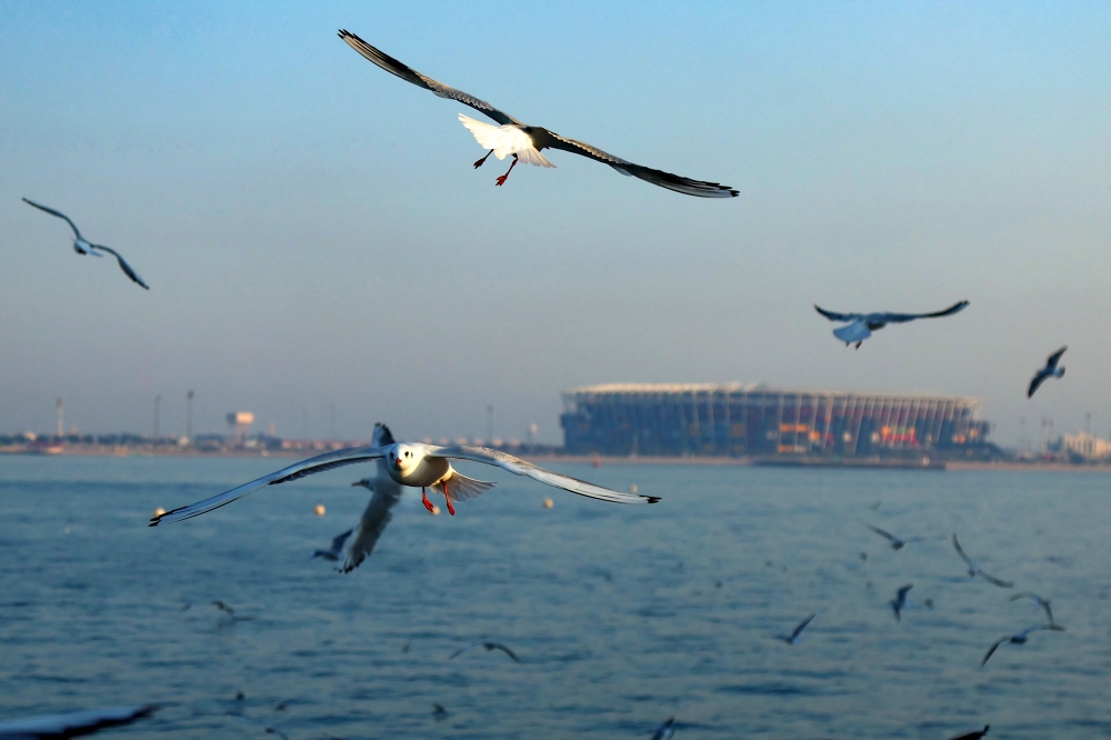Chance of scattered thundery rain in Qatar on September 15, 2025. (Pic: Karim Jaafar / AFP)