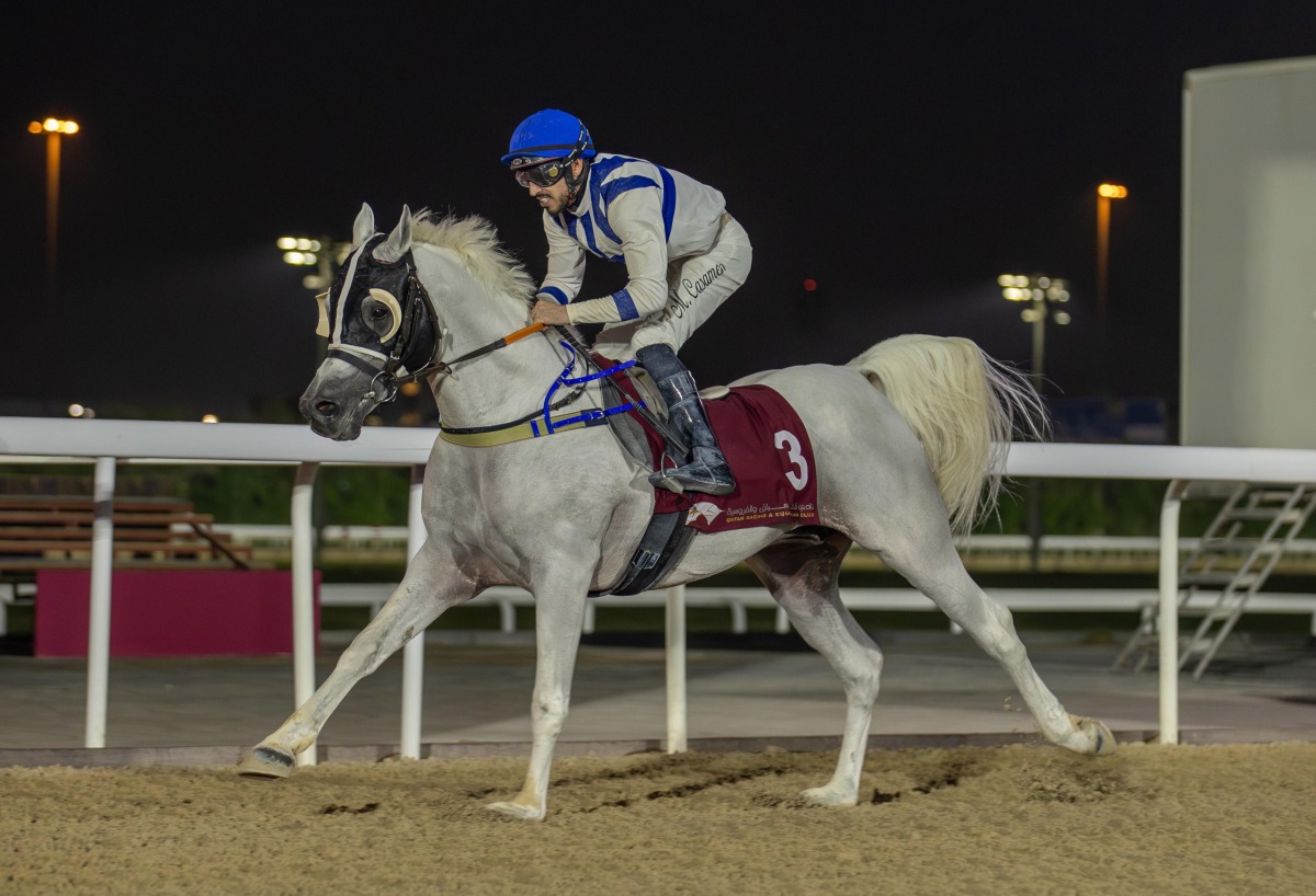 Marco Casamento guides Mueer Al Rayyan to victory in the Purebred Arabian Show Horses & Mares race.