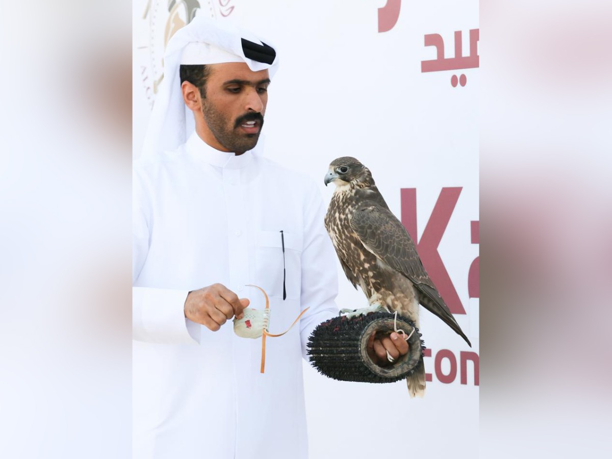 Participant with his falcon during the competition.